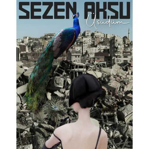 Sezen Aksu&nbsp;Üşüdüm