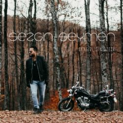 Sezgin Seymen&nbsp;Sensizliğin Özeti