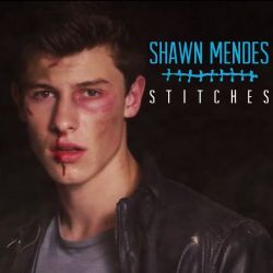 Shawn Mendes&nbsp;Stitches