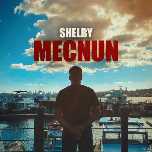 Shelby&nbsp;Mecnun