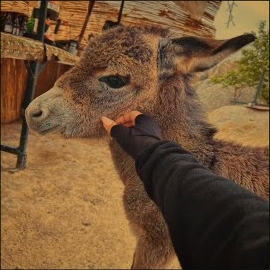 Şiirbaz&nbsp;Sweetheart I Love U