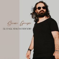 Sinan Güngör&nbsp;Şu Dağlar Kömürdendir