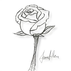 Siran Tolan&nbsp;Daye Cane