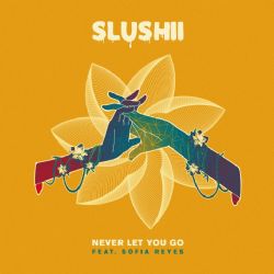 Slushii&nbsp;Never Let You Go