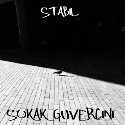 Stabil&nbsp;Sokak Güvercini