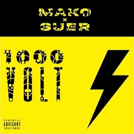Suer&nbsp;1000 Volt