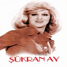 Şükran Ay&nbsp;Yaptığını Beğendin Mi