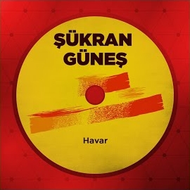 Şükran Güneş&nbsp;Havar