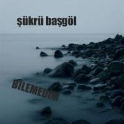 Şükrü Başgöl&nbsp;Bilemedim