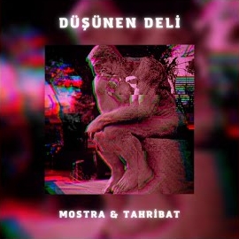 Tahribat&nbsp;Düşünen Deli