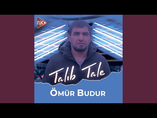 Talib Tale&nbsp;Ömür Budur