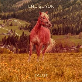 Talut&nbsp;Endişe Yok