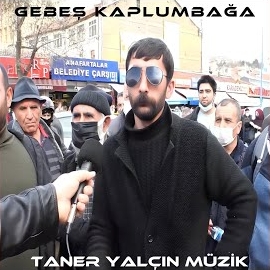 Taner Yalçın&nbsp;Gebeş Kaplumbağa