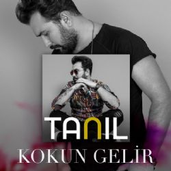 Tanıl&nbsp;Kokun Gelir