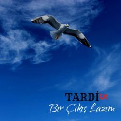 Tardis&nbsp;Bir Çıkış Lazım