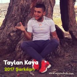 Taylan Kaya&nbsp;2017 Şarkıları