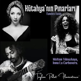 Taylan Polat&nbsp;Kütahyanın Pınarları