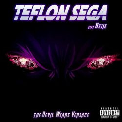 Teflon Sega&nbsp;Damage