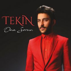 Tekin&nbsp;Ona Sorun