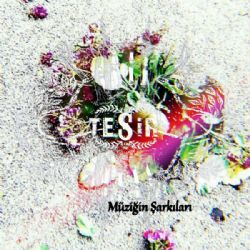 Tesir&nbsp;Müziğin Şarkıları