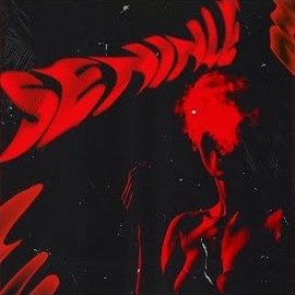 The Nova&nbsp;Seninle