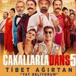 Tibet Ağırtan&nbsp;Yat Geliyorum