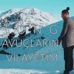 Tong&nbsp;Avuçların Vilayetim