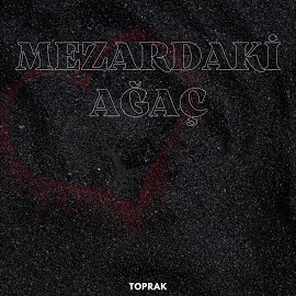 Toprak&nbsp;Mezardaki Ağaç