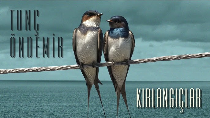 Tunç Öndemir&nbsp;Kırlangıçlar