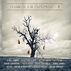 Türküler Özümüz&nbsp;Türküler Özümüz Vol 1