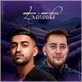 Umut Capone&nbsp;Lavanda
