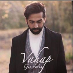 Vahap&nbsp;Git Dedin