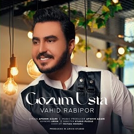 Vahid Rabipor&nbsp;Gözum Usta