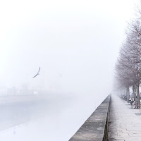 Veck&nbsp;Ingewikkeld