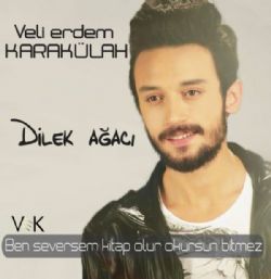 Veli Erdem Karakülah&nbsp;Dilek Ağacı