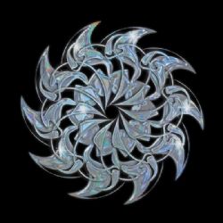 Venus88&nbsp;808RACETEAM