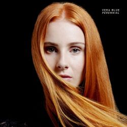 Vera Blue&nbsp;Perennial