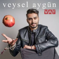 Veysel Aygün&nbsp;Vay