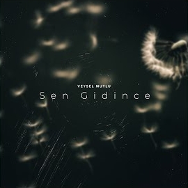 Veysel Mutlu&nbsp;Sen Gidince