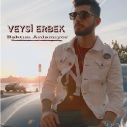 Veysi Erbek&nbsp;Baktım Anlamıyor