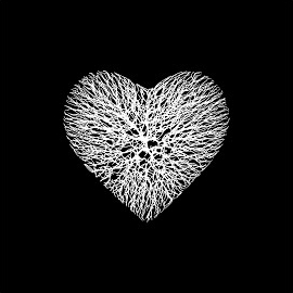 Yagi&nbsp;Artık Daha İyiyim