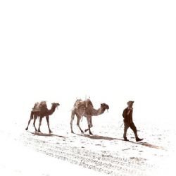 Yank&nbsp;Yarın Uzaklarda