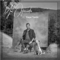 Yaşar Talebi&nbsp;Yol Ortasında
