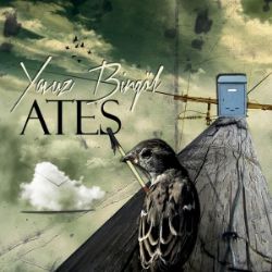 Yavuz Bingöl&nbsp;Ateş