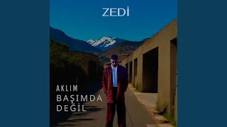 Zedi&nbsp;Aklım Başımda Değil