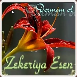 Zekeriya Esen&nbsp;Derman Ol