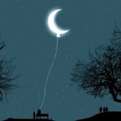 Zeki Berkay Balcı&nbsp;Ay Işığı Sessizliği