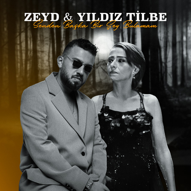 Zeyd&nbsp;Senden Başka Bir Şey Bulamam