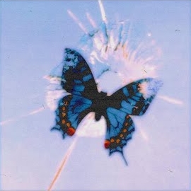 Zeyn&nbsp;Bizden Olmaz