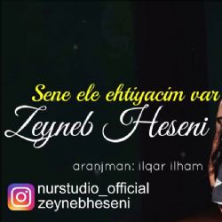 Zeyneb Heseni&nbsp;Sene Ele Ehtiyacim Var